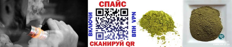 OMG ONION  Бородино  Бутират Butirat 