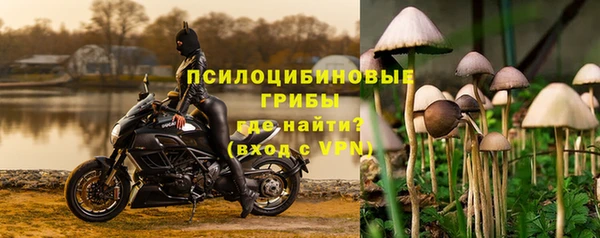 не бодяженный Богородицк