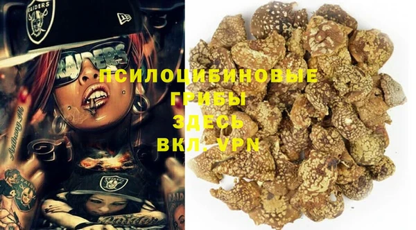 трава Богданович